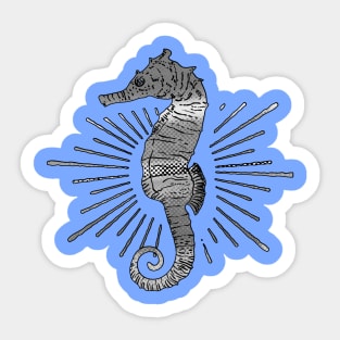 Caballito de Mar - Sea Horse Sticker